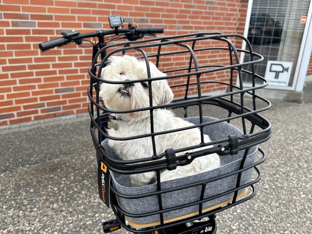 Medium Cykelkurv til Hund - Atran Velo 9 hundekurv