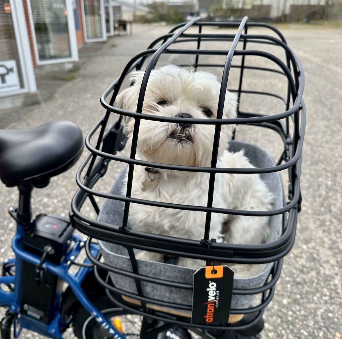Medium Cykelkurv til Hund - Atran Velo 2 Medium Cykelkurv til Hund - Atran Velo - Billede 2