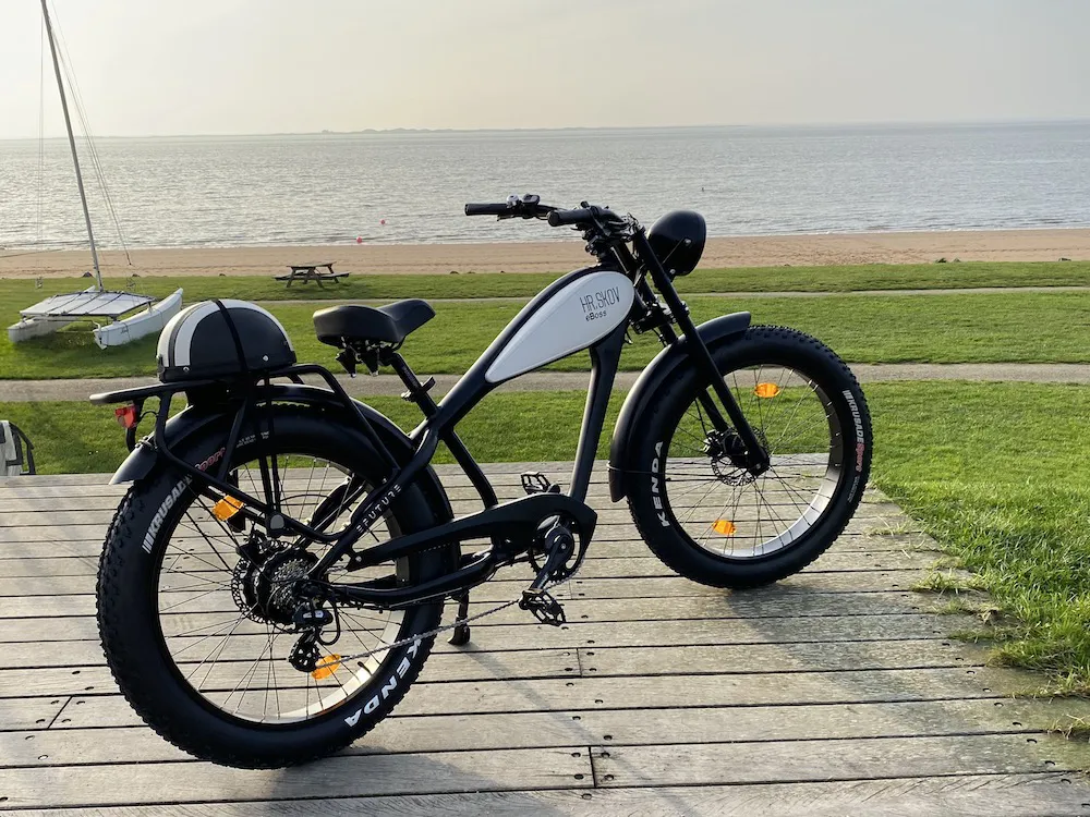 Reklamecykel Efuture Hr Skov eBoss Elcykel