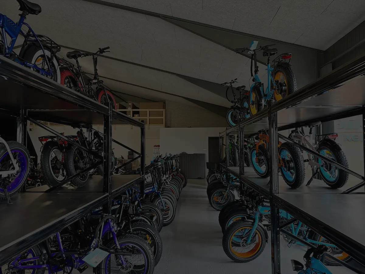 Specialløsninger Efuture Elcykel