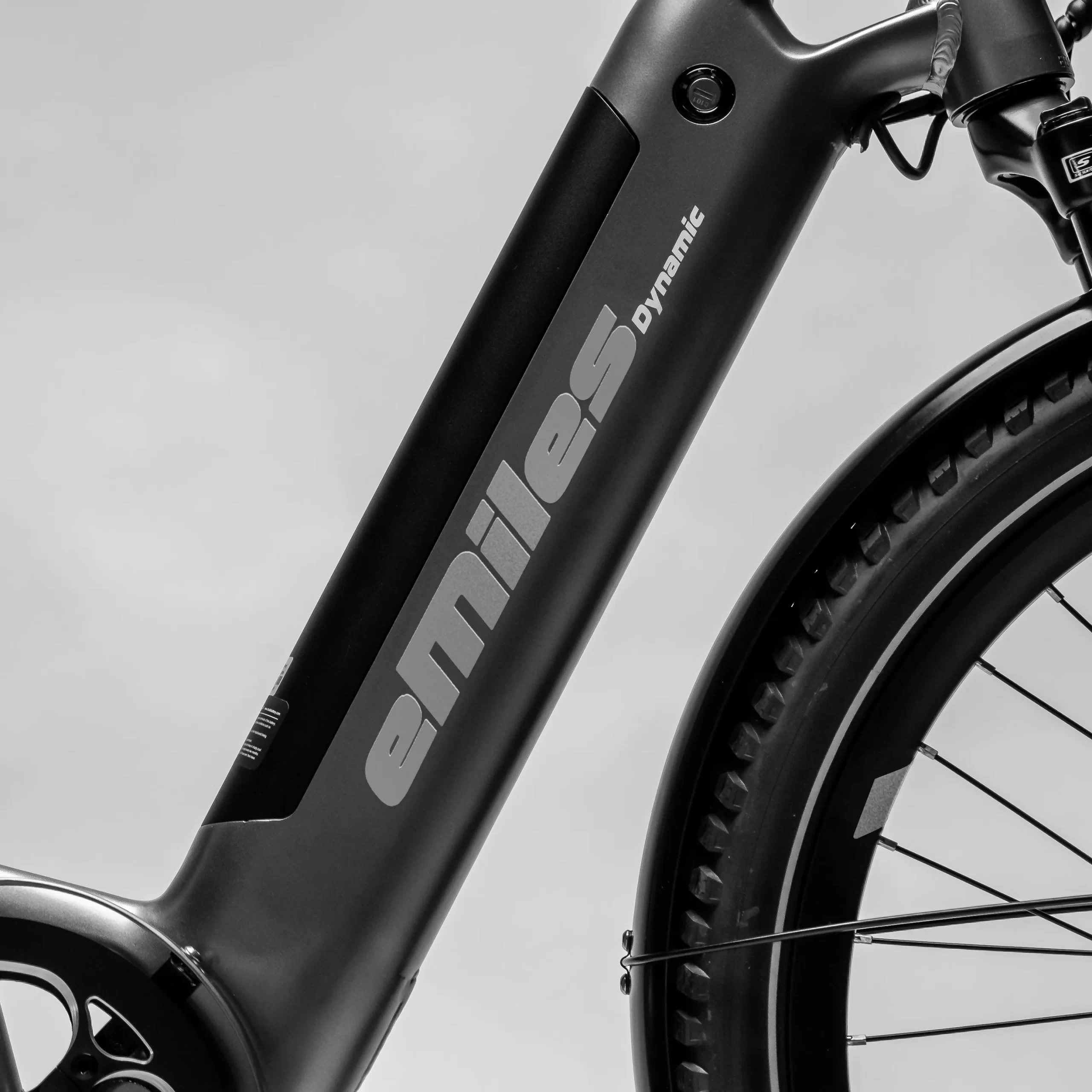 efuture-emiles-dynamic-soelv