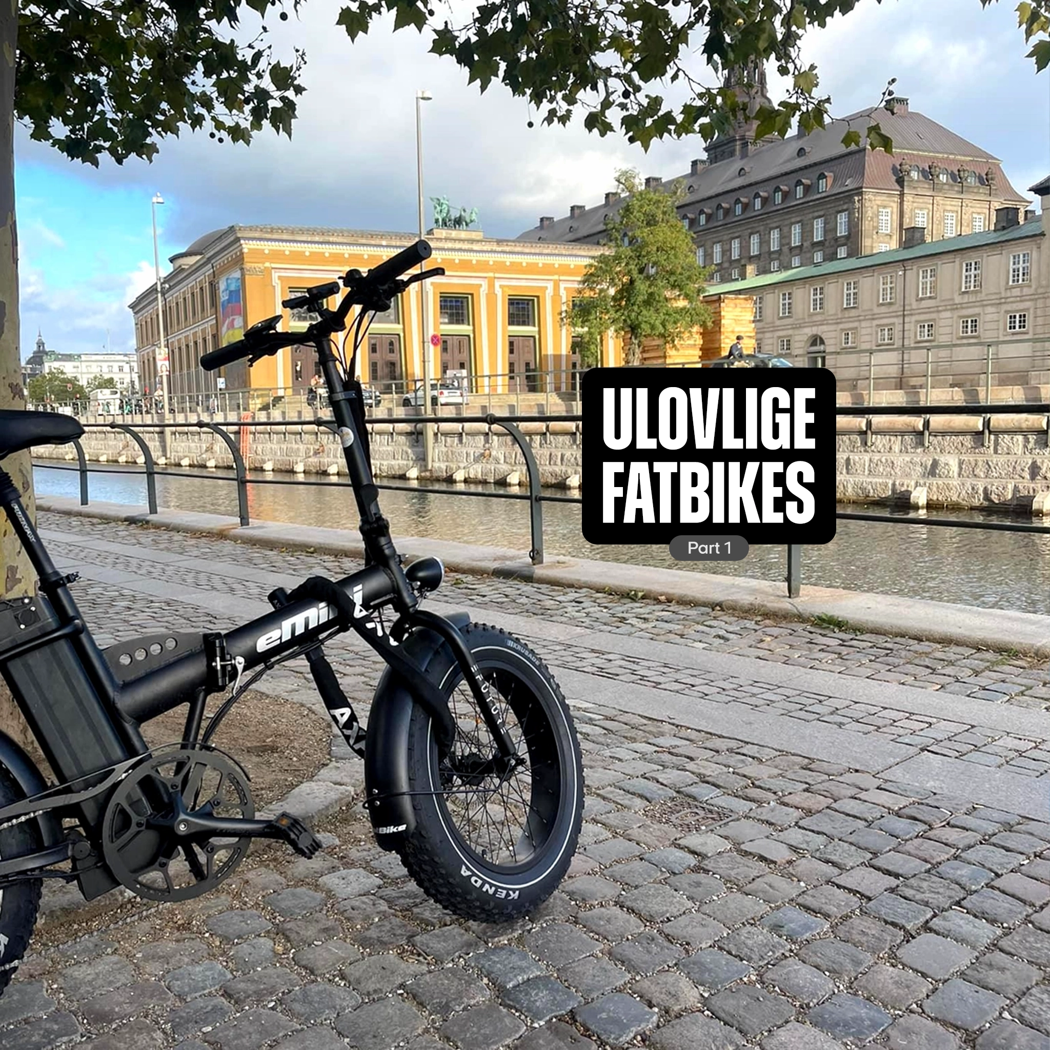 efuture ulovlige fatbikes part 1