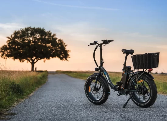 Efuture Elcykel eMini Lowq Camo med Camo fælge Fatbike