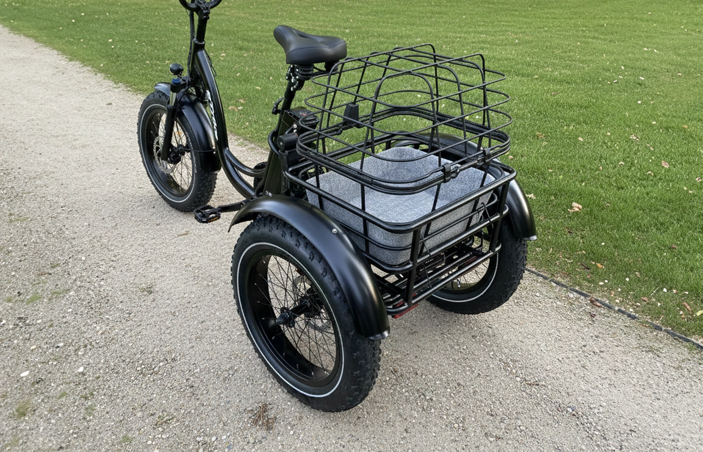 Large Cykelkurv til Hund - Atran Velo 4 EFUTURE Cykelkurv til hund på trehjulet cykel